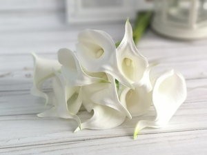 Интернет Магазин Искусственные